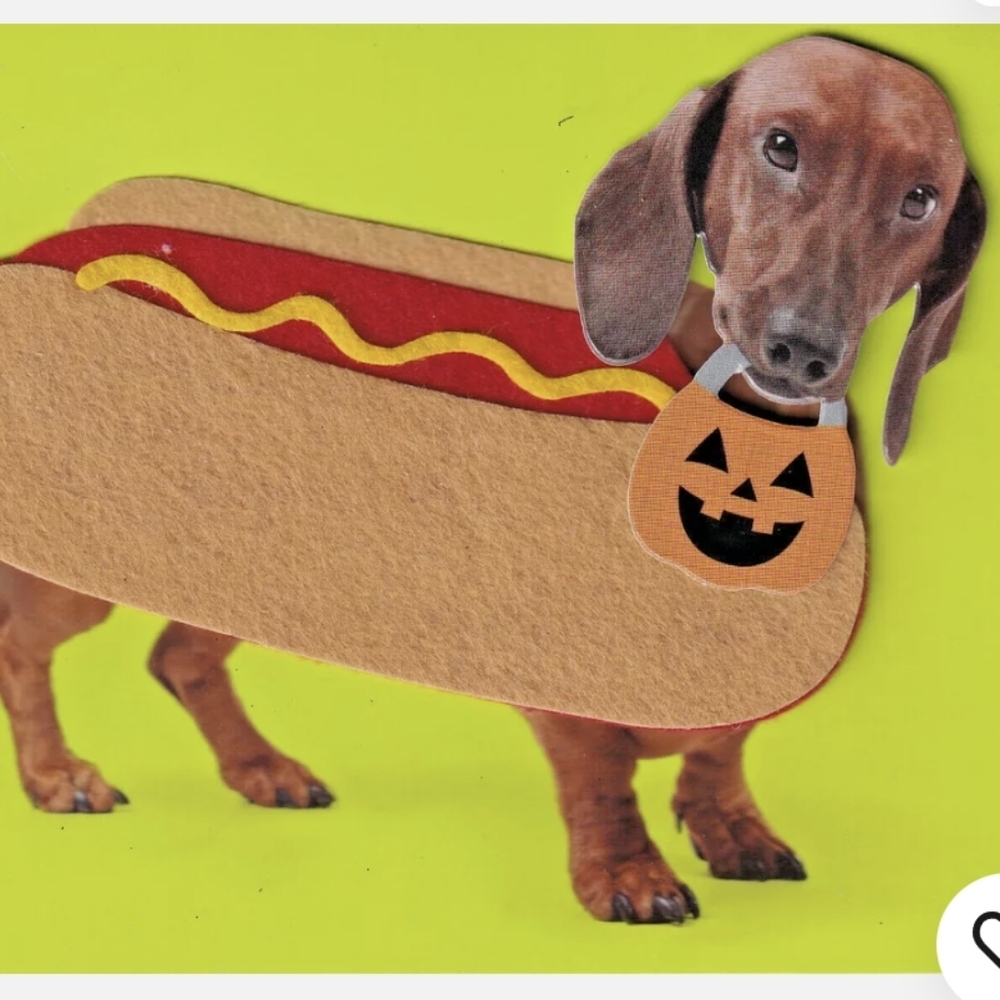 PAPYRUS weiner dog Halloween greeting Card